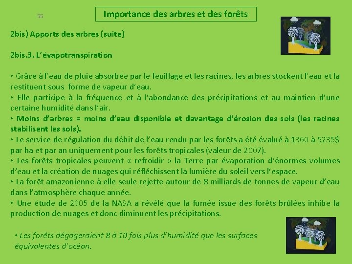 55 Importance des arbres et des forêts 2 bis) Apports des arbres (suite) 2