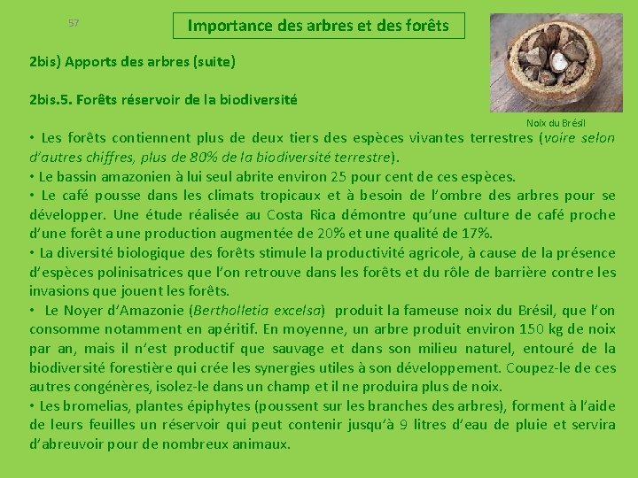 57 Importance des arbres et des forêts 2 bis) Apports des arbres (suite) 2