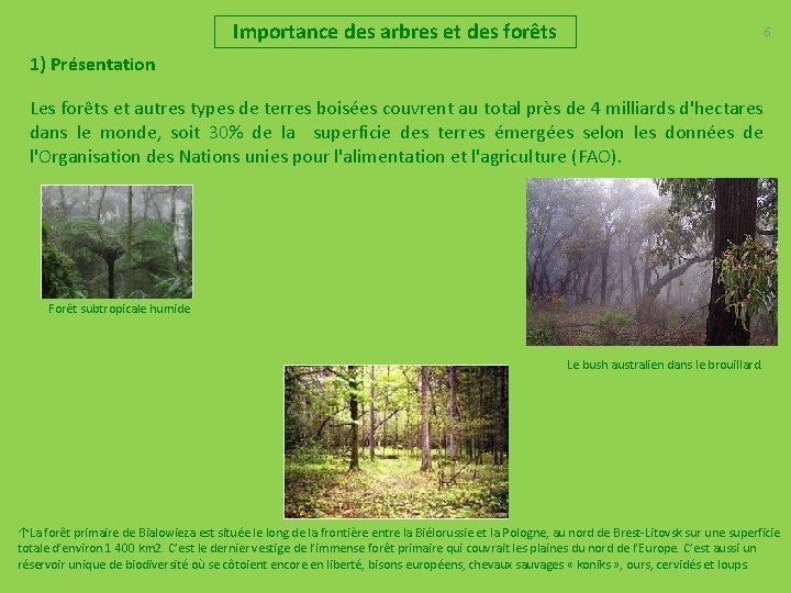 Importance des arbres et des forêts 6 1) Présentation Les forêts et autres types