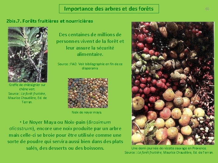 Importance des arbres et des forêts 60 2 bis. 7. Forêts fruitières et nourricières