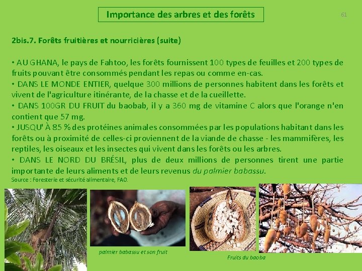 Importance des arbres et des forêts 61 2 bis. 7. Forêts fruitières et nourricières