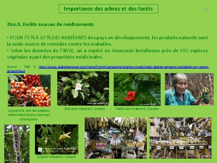 Importance des arbres et des forêts 64 2 bis. 9. Forêts sources de médicaments