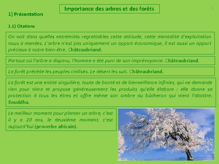 1) Présentation Importance des arbres et des forêts 7 1. 1) Citations On voit