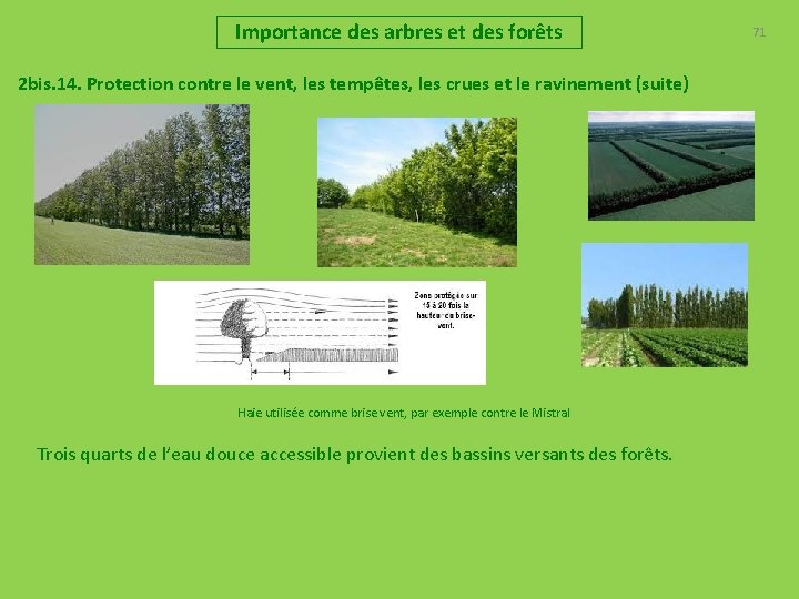 Importance des arbres et des forêts 2 bis. 14. Protection contre le vent, les