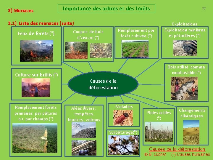 3) Menaces Importance des arbres et des forêts 3. 1) Liste des menaces (suite)