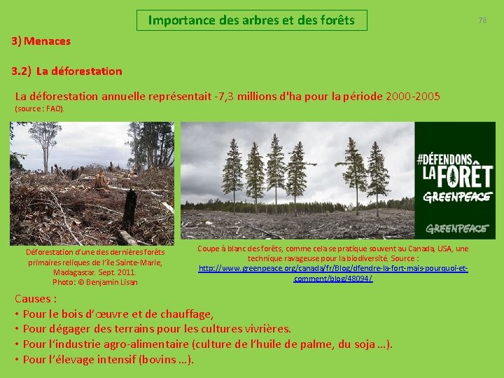 Importance des arbres et des forêts 3) Menaces 3. 2) La déforestation annuelle représentait