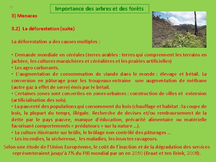 79 Importance des arbres et des forêts 3) Menaces 3. 2) La déforestation (suite)