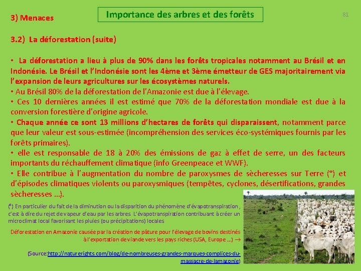 3) Menaces Importance des arbres et des forêts 81 3. 2) La déforestation (suite)