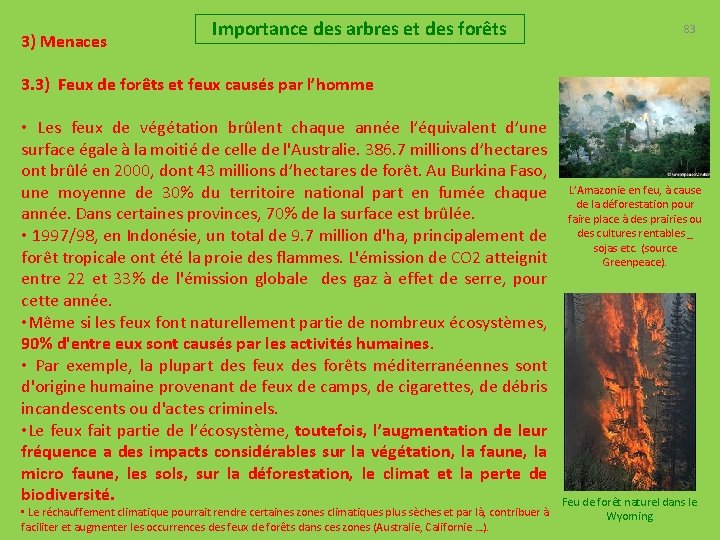 3) Menaces Importance des arbres et des forêts 83 3. 3) Feux de forêts
