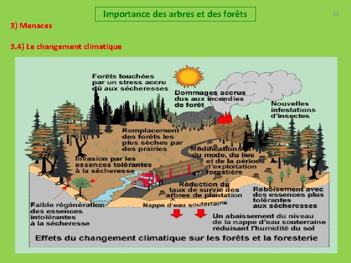 Importance des arbres et des forêts 3) Menaces 3. 4) Le changement climatique 86