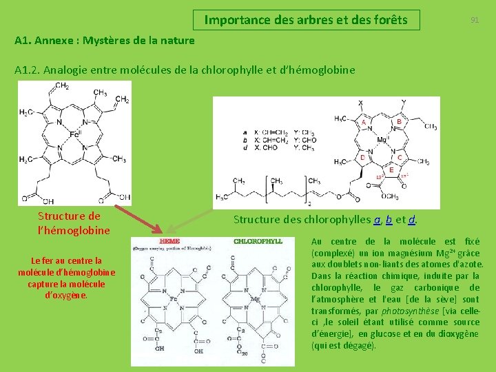 Importance des arbres et des forêts 91 A 1. Annexe : Mystères de la