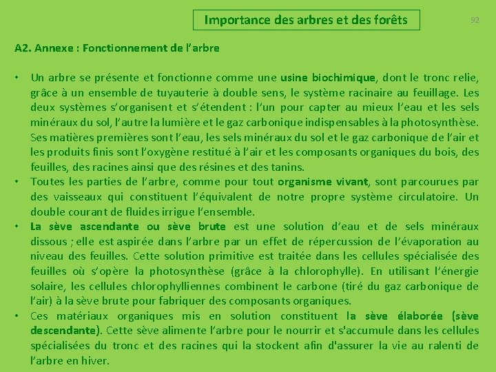 Importance des arbres et des forêts 92 A 2. Annexe : Fonctionnement de l’arbre