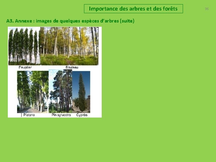 Importance des arbres et des forêts A 3. Annexe : images de quelques espèces