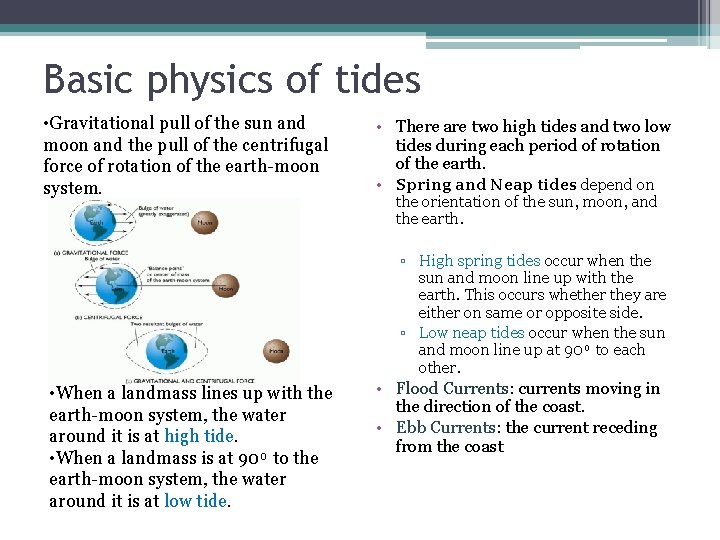 Basic physics of tides • Gravitational pull of the sun and moon and the