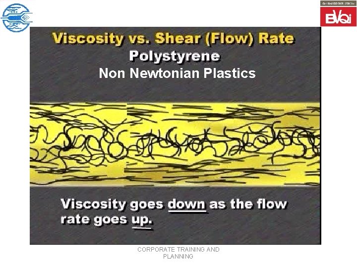 Non Newtonian Plastics CORPORATE TRAINING AND PLANNING 
