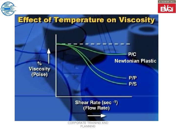 Newtonian Plastic CORPORATE TRAINING AND PLANNING 