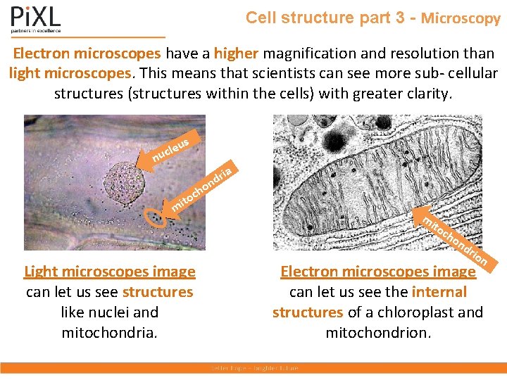Cell structure part 3 - Microscopy Electron microscopes have a higher magnification and resolution