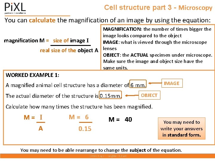 Cell structure part 3 - Microscopy You can calculate the magnification of an image