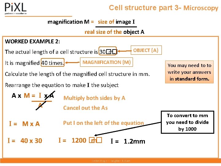 Cell structure part 3 - Microscopy magnification M = size of image I real