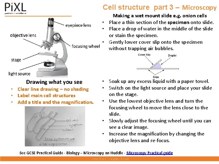 Cell structure part 3 – Microscopy Making a wet mount slide e. g. onion