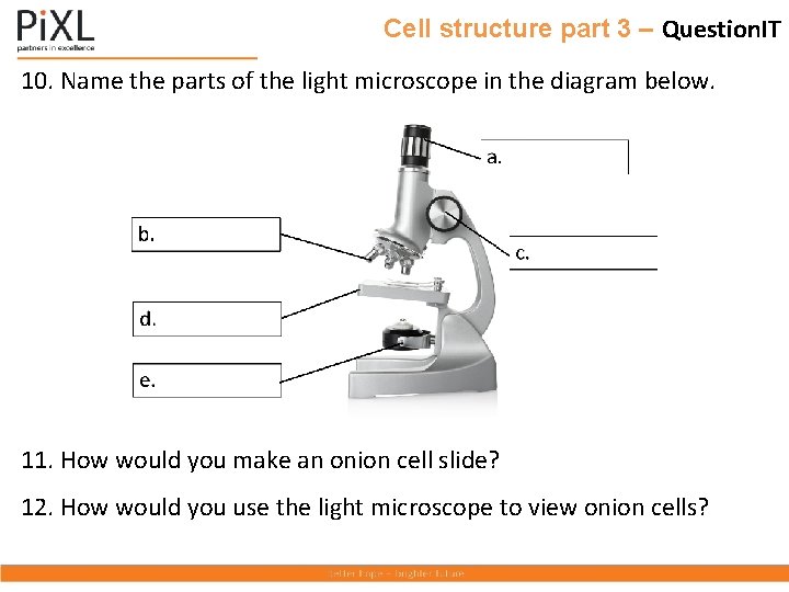 Cell structure part 3 – Question. IT 10. Name the parts of the light