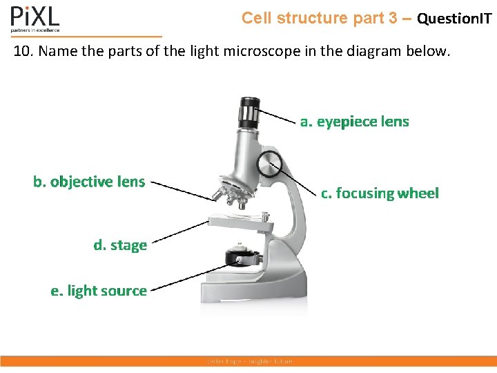 Cell structure part 3 – Question. IT 10. Name the parts of the light