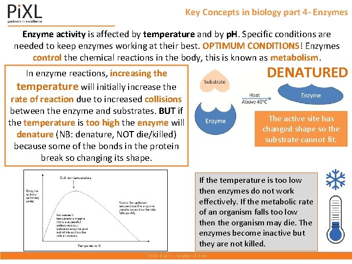 Key Concepts in biology part 4 - Enzymes Enzyme activity is affected by temperature