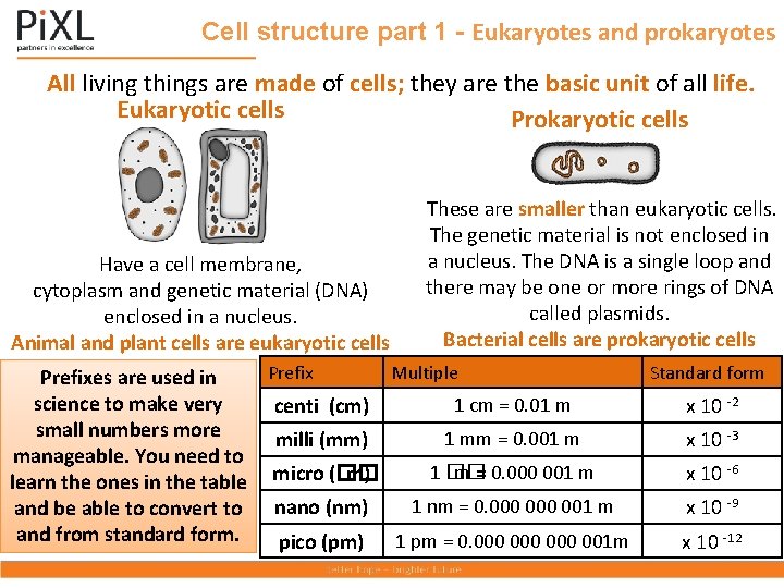 Cell structure part 1 - Eukaryotes and prokaryotes All living things are made of