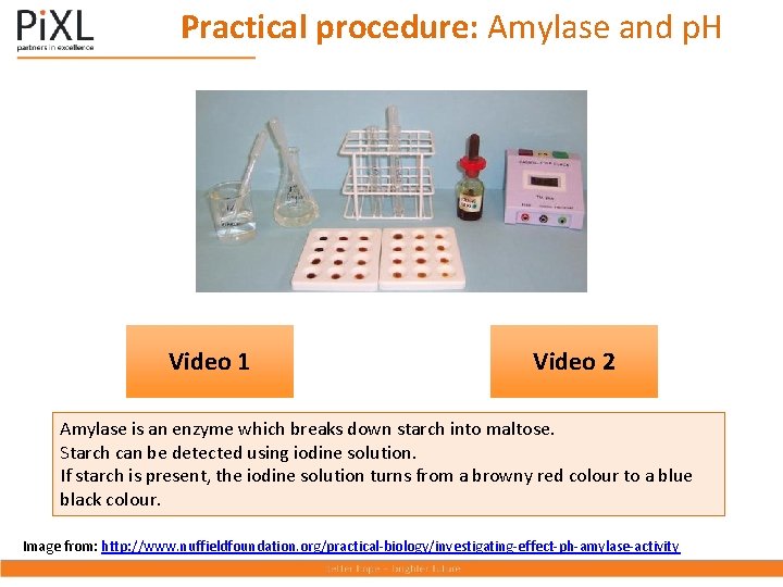 Practical procedure: Amylase and p. H Video 1 Video 2 Amylase is an enzyme