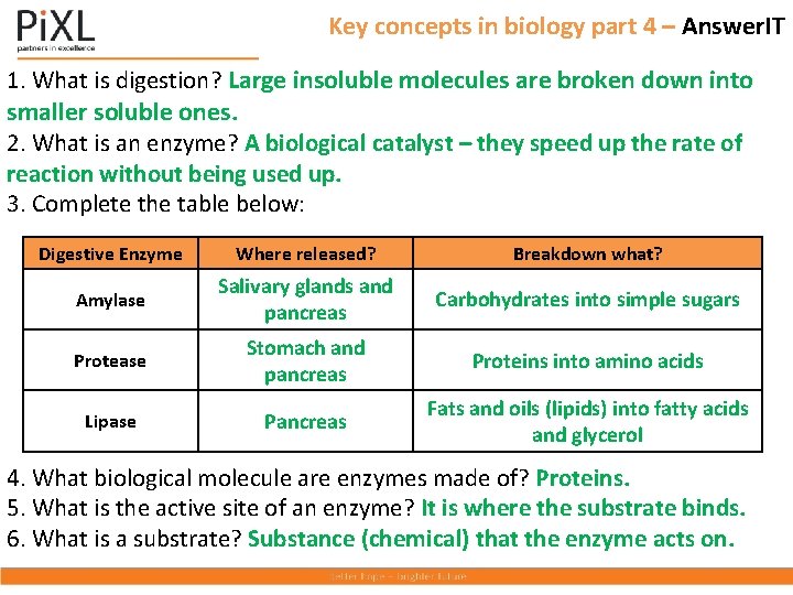 Key concepts in biology part 4 – Answer. IT 1. What is digestion? Large