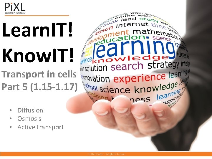 Learn. IT! Know. IT! Transport in cells Part 5 (1. 15 -1. 17) •