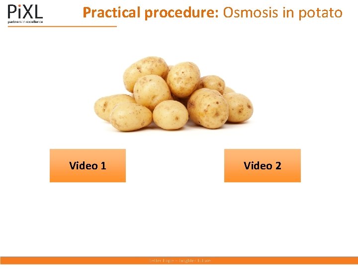 Practical procedure: Osmosis in potato Video 1 Video 2 