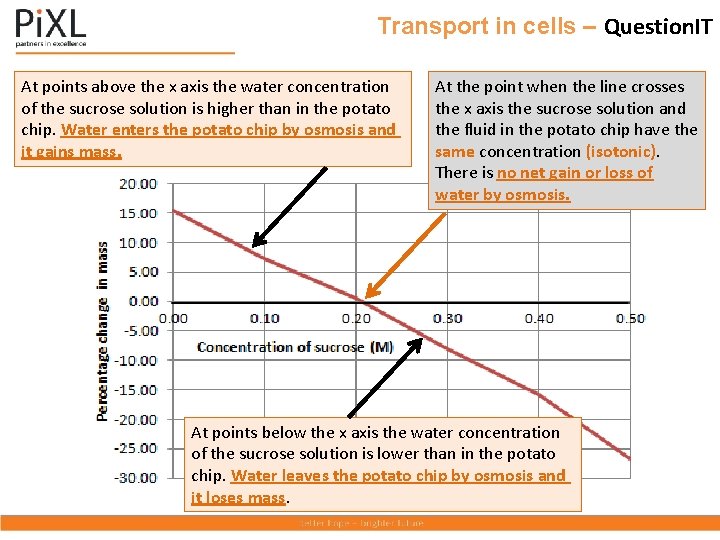 Transport in cells – Question. IT At points above the x axis the water