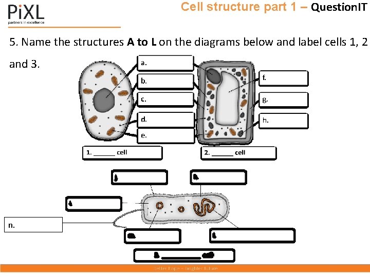 Cell structure part 1 – Question. IT 5. Name the structures A to L