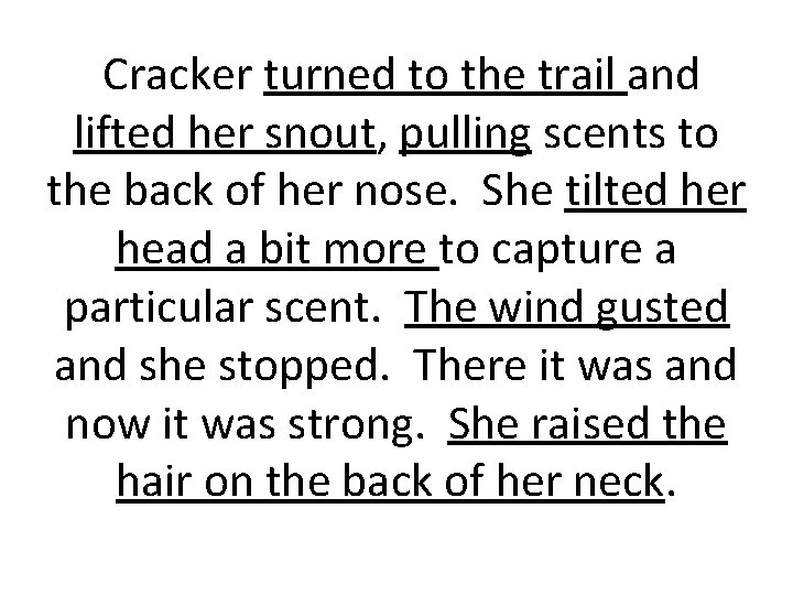 Cracker turned to the trail and lifted her snout, pulling scents to the back