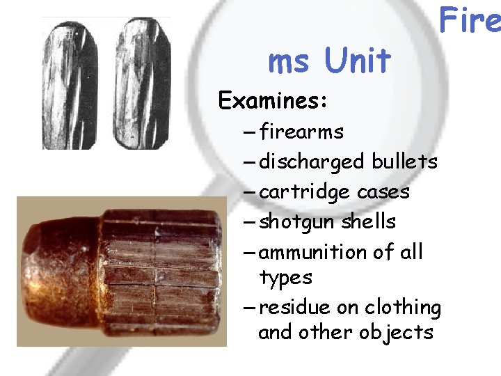 ms Unit Fire Examines: – firearms – discharged bullets – cartridge cases – shotgun