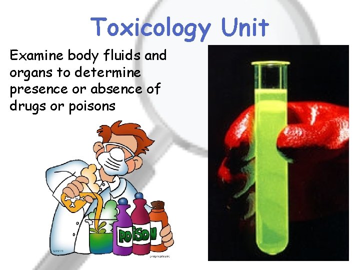 Toxicology Unit Examine body fluids and organs to determine presence or absence of drugs