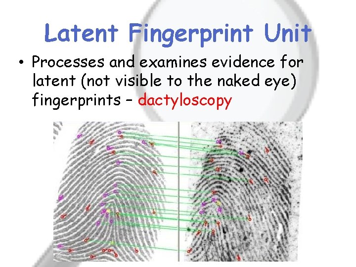 Latent Fingerprint Unit • Processes and examines evidence for latent (not visible to the