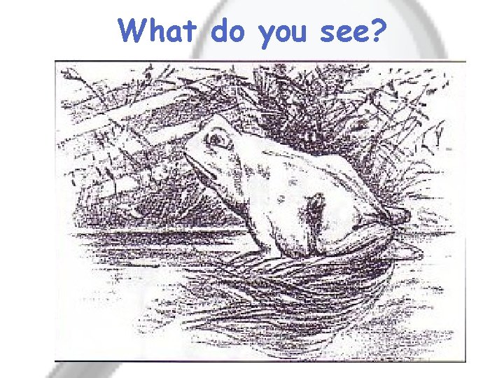 What do you see? 