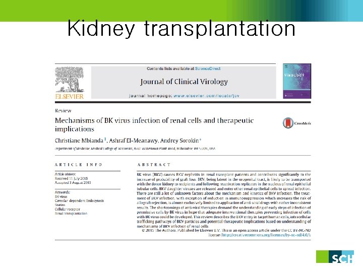 BK virus infection after Kidney transplantation R 1