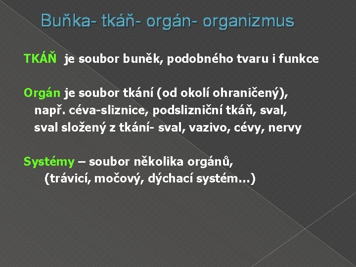 Buňka- tkáň- orgán- organizmus TKÁŇ je soubor buněk, podobného tvaru i funkce Orgán je