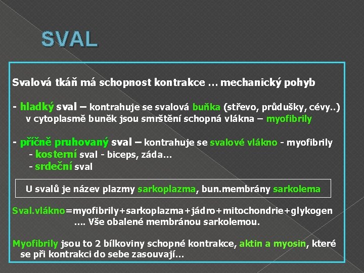 SVAL Svalová tkáň má schopnost kontrakce … mechanický pohyb - hladký sval – kontrahuje