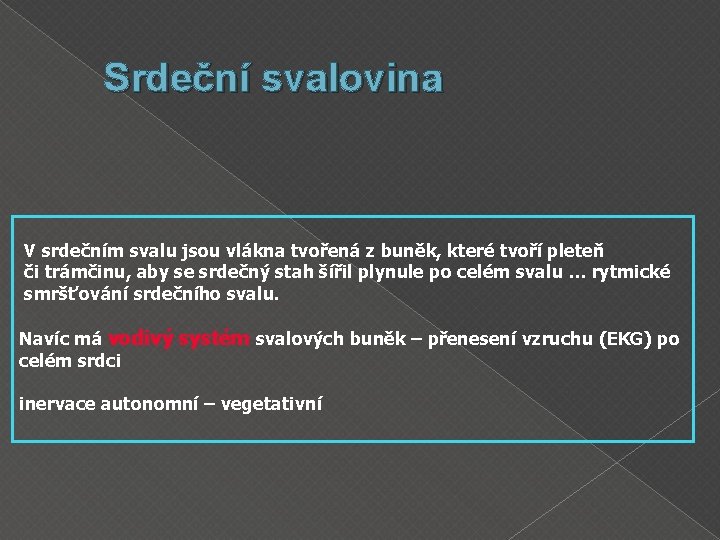 Srdeční svalovina V srdečním svalu jsou vlákna tvořená z buněk, které tvoří pleteň či