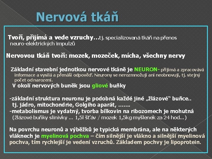 Nervová tkáň Tvoří, přijímá a vede vzruchy…tj. specializovaná tkáň na přenos neuro-elektrických impulzů Nervovou