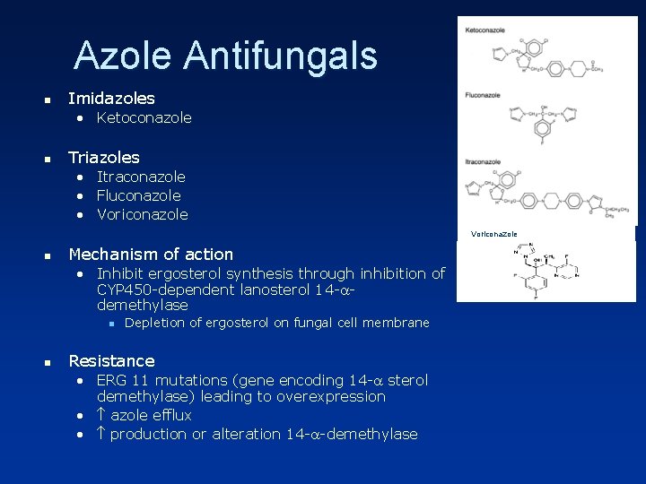 Azole Antifungals n Imidazoles • Ketoconazole n Triazoles • Itraconazole • Fluconazole • Voriconazole