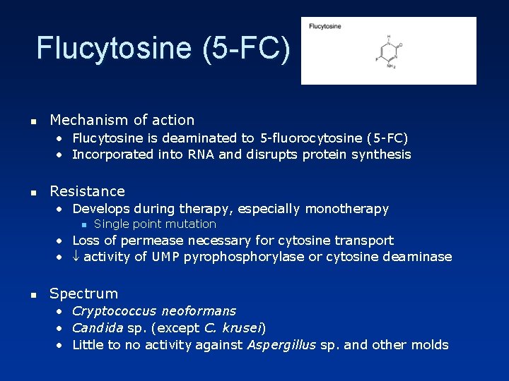 Flucytosine (5 -FC) n Mechanism of action • Flucytosine is deaminated to 5 -fluorocytosine