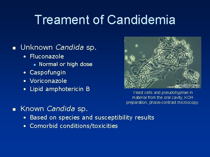 Treament of Candidemia n Unknown Candida sp. • Fluconazole n • • • n