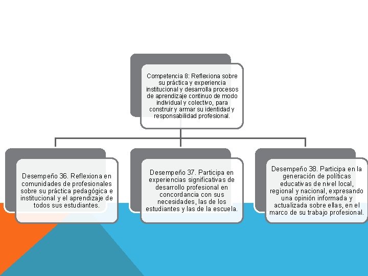 Competencia 8: Reflexiona sobre su práctica y experiencia institucional y desarrolla procesos de aprendizaje