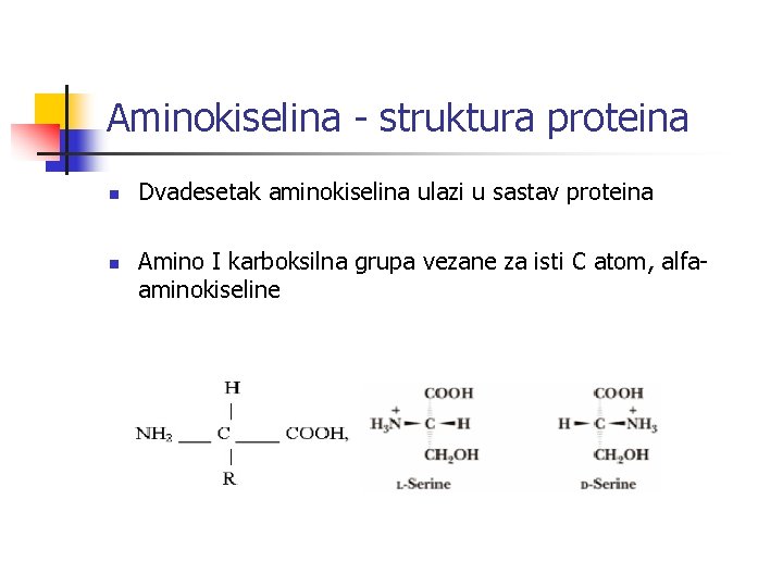 Aminokiselina - struktura proteina n n Dvadesetak aminokiselina ulazi u sastav proteina Amino I