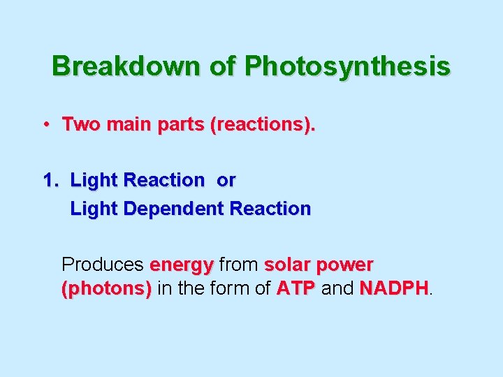 Breakdown of Photosynthesis • Two main parts (reactions). 1. Light Reaction or Light Dependent